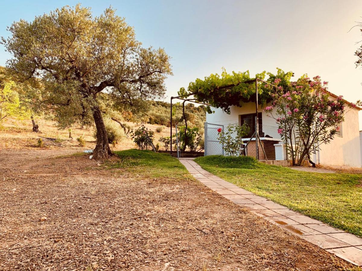 Holiday home Arroyo Marco